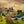 Load image into Gallery viewer, Ballista 3D Puzzle harctéren