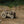 Load image into Gallery viewer, Traktor 3D Puzzle