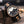 Load image into Gallery viewer, Dario Faggio Fa Karóra