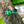 Load image into Gallery viewer, Livorno Verde Fa Napszemüveg