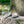 Load image into Gallery viewer, Monza Rosa Fa Napszemüveg