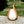 Load image into Gallery viewer, Jázmin Aroma Diffúzor