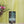 Load image into Gallery viewer, Juhar Aroma Diffúzor