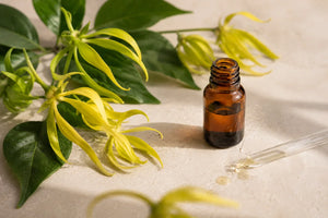 Sárga ylang-ylang virágok zöld levelekkel, barna illóolajos üveg és pipetta mellett