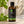 Load image into Gallery viewer, Bazsalikom illóolaj 100 ml-es borostyánszínű üvegben pipettás kupakkal
