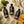 Load image into Gallery viewer, Három 100 ml-es illóolaj – bergamott, citromfű és édesnarancs – borostyánszínű üvegekben, világos kőhatású felületen felülnézetből fotózva, friss citrusfélékkel, citromfűszálakkal és zöld levelekkel körülvéve, letisztult prémium termékkompozíció.
