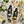 Load image into Gallery viewer, Neroliolaj (Citrus aurantium fe.)
