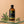 Load image into Gallery viewer, Muskotályzsálya illóolaj 100 ml – barna üveg
